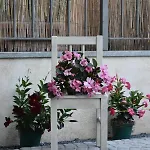 Apartman Casa Di Nadia