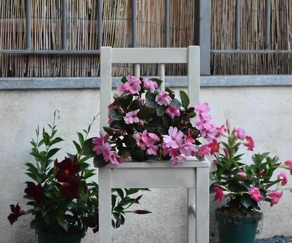 Appartamento Casa Di Nadia